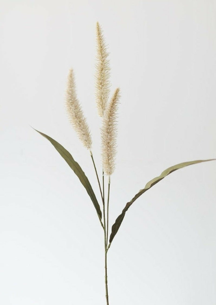 Fall Foliage Radial | Fake Foxtail Fall Grass In Beige - 36"