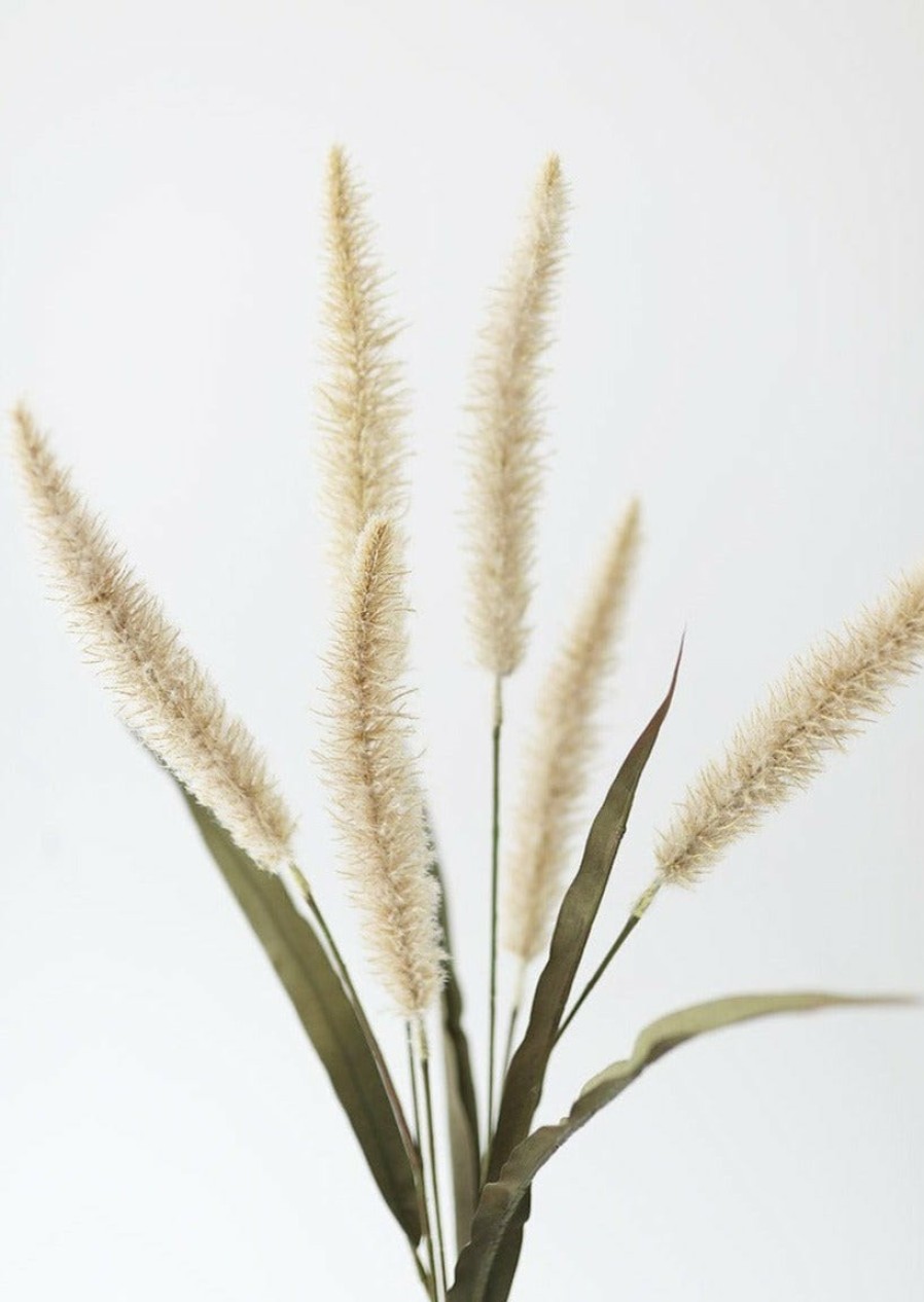 Fall Foliage Radial | Fake Foxtail Fall Grass In Beige - 36"