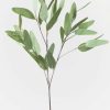 Everyday Greenery Radial | Faux Real Touch Eucalyptus Branch - 31"