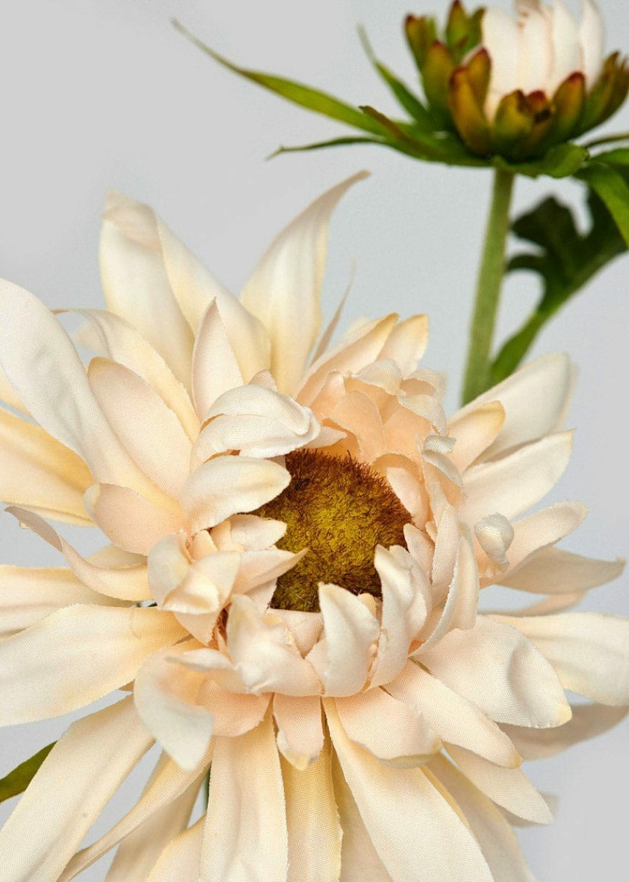 Blooming Florals Radial | Beige Blush Artificial Mum Wildflower - 28.25"