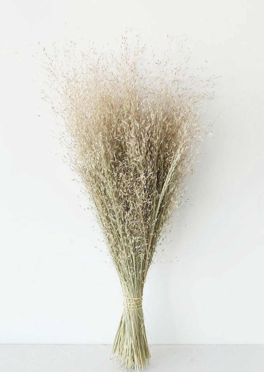 Fall Foliage Radial | Dried Indian Rice Grass - 22-28"