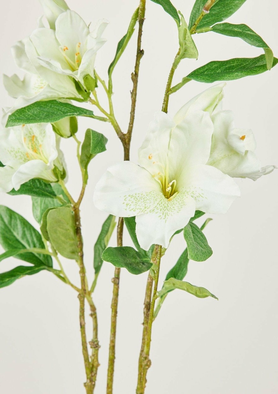 Blooming Florals Radial | Cream Green Faux Azalea Flower Branch - 40"