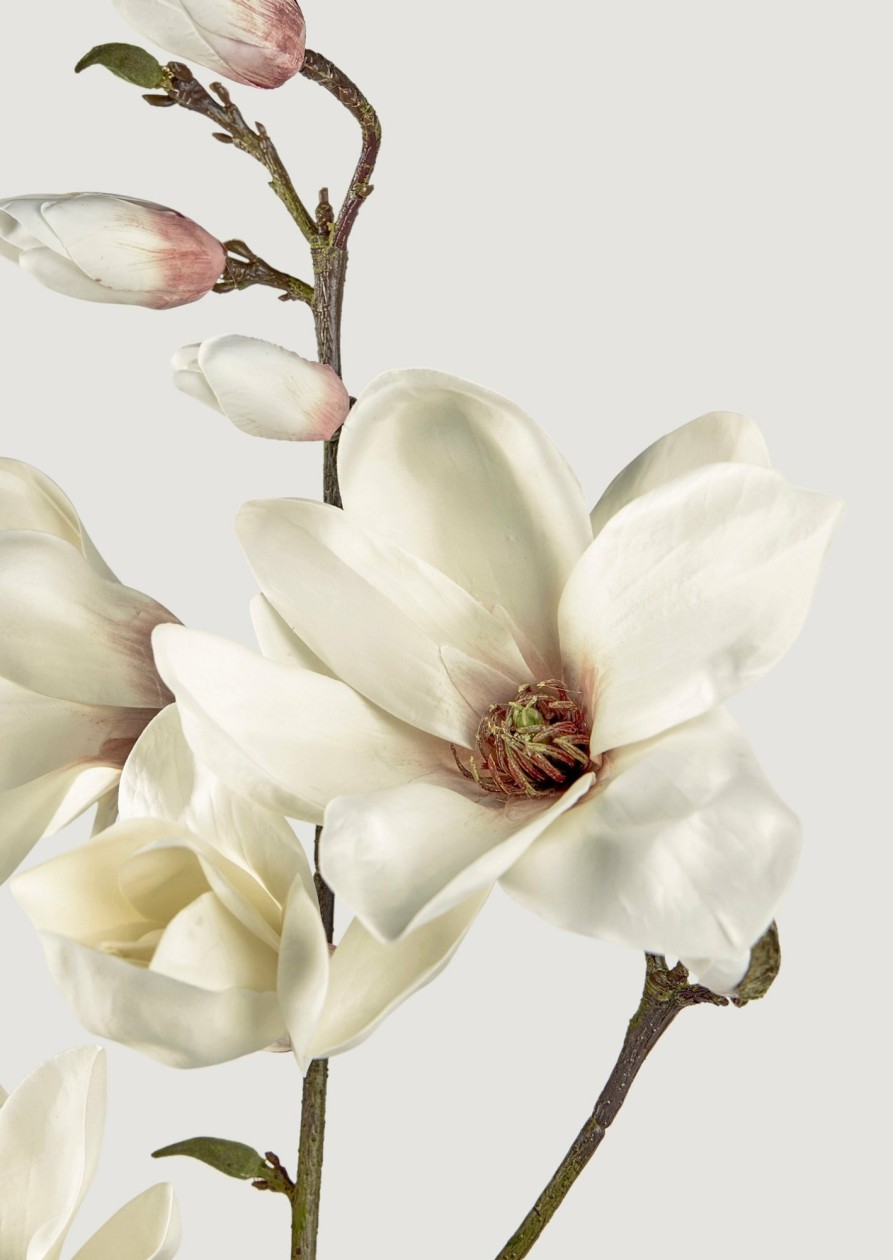 Blooming Florals Radial | Faux Blooming Magnolia Branch - 35"