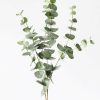 Everyday Greenery Radial | Green Grey Artificial Spiral Eucalyptus - 40"