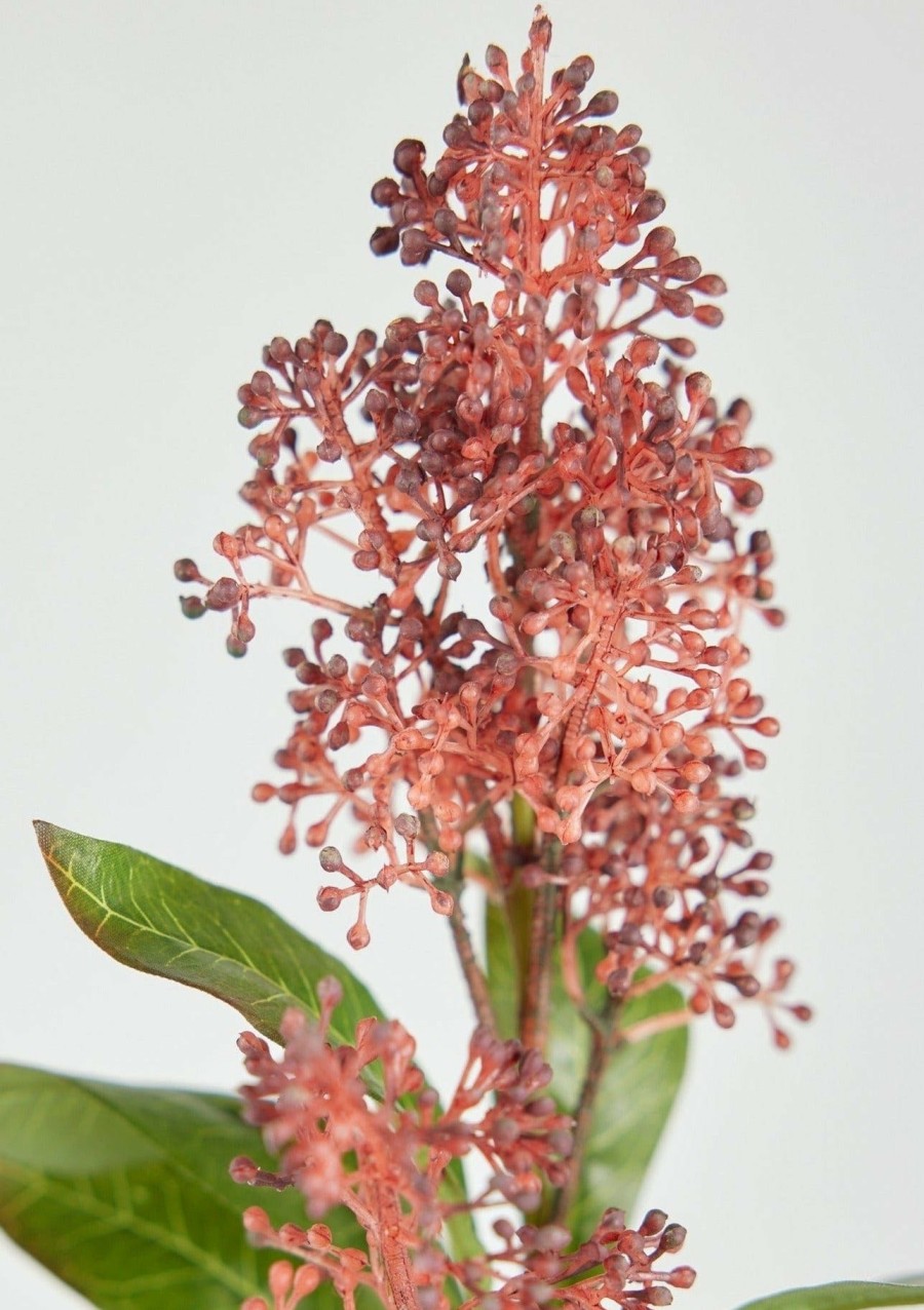 Blooming Florals Radial | Rust Burgundy Faux Skimmia Flower Stem - 23"