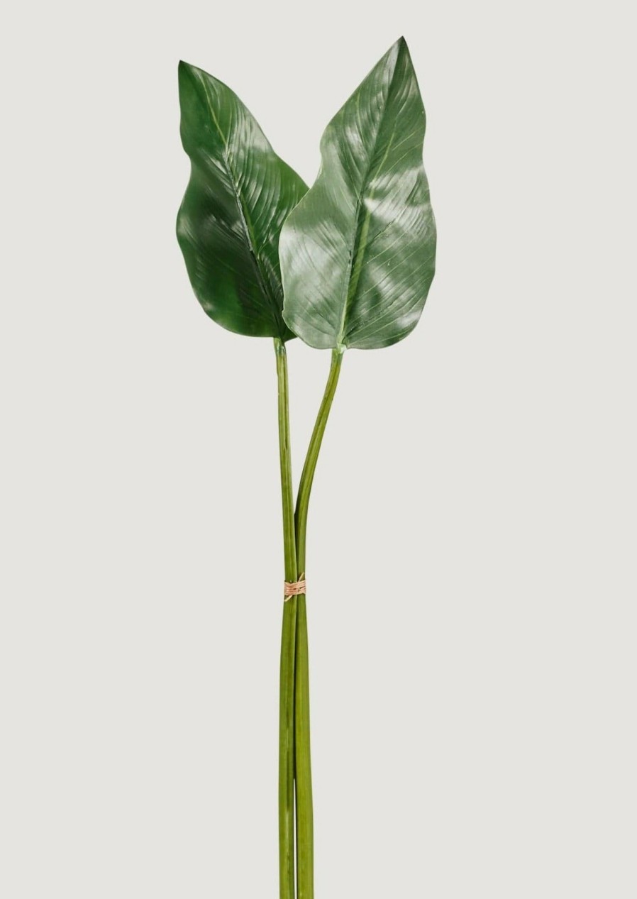 Everyday Greenery Radial | Bundle Of 2 Artificial Calla Lily Leaves - 34-34.5"