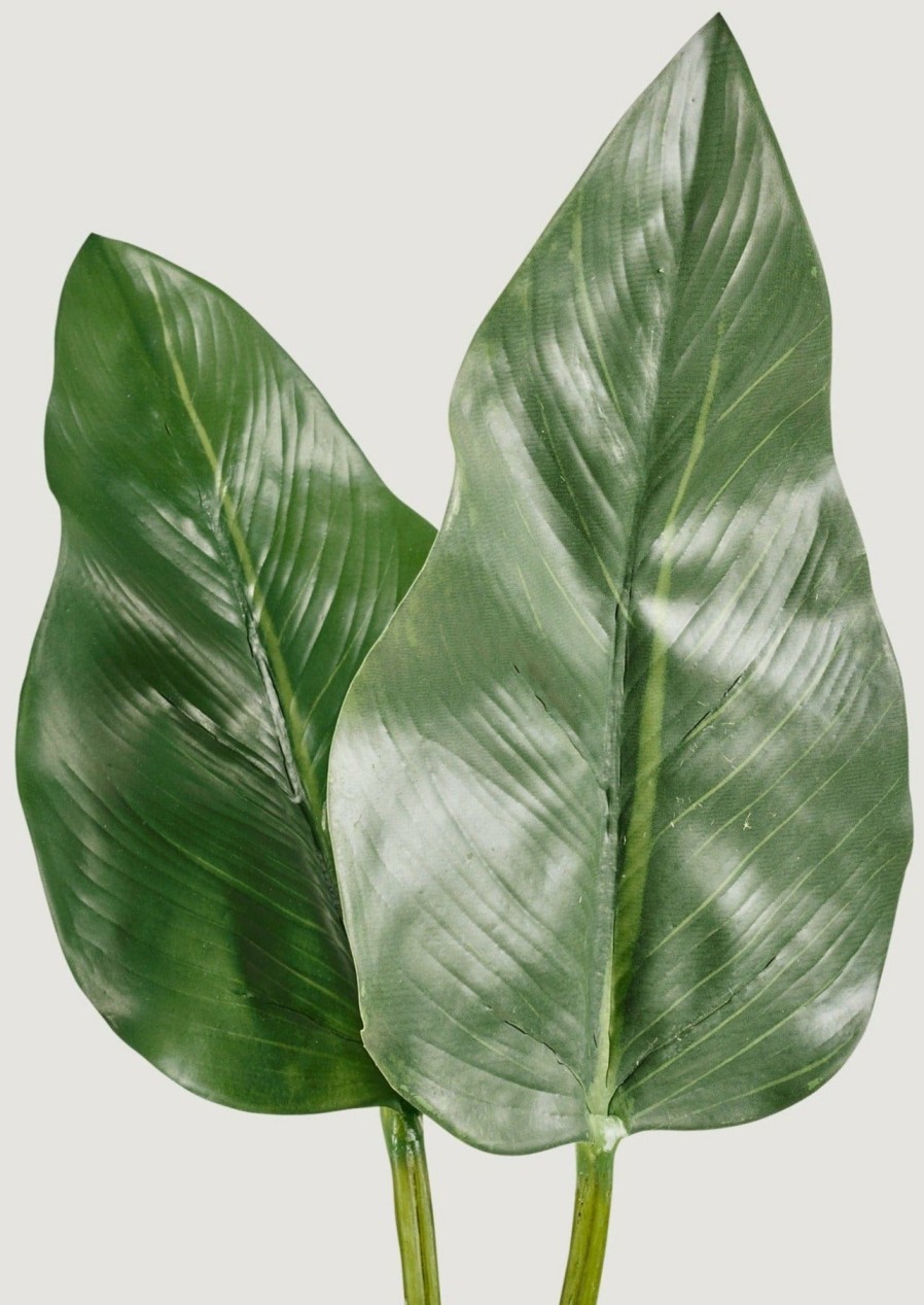 Everyday Greenery Radial | Bundle Of 2 Artificial Calla Lily Leaves - 34-34.5"