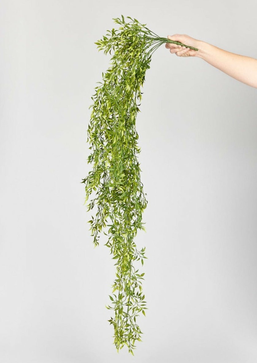 Everyday Greenery Radial | Natural Touch Ruscus Hanging Branch - 50"