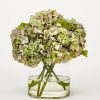 Blooming Florals Radial | Antique Green Faux Hydrangea Arrangement - 12"