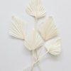 Everyday Greenery Radial | Bundle Of 5 Bleached Cream Palm Spears - 15-22"