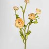 Blooming Florals Radial | Real Touch Faux Ranunculus In Peach - 21.5"