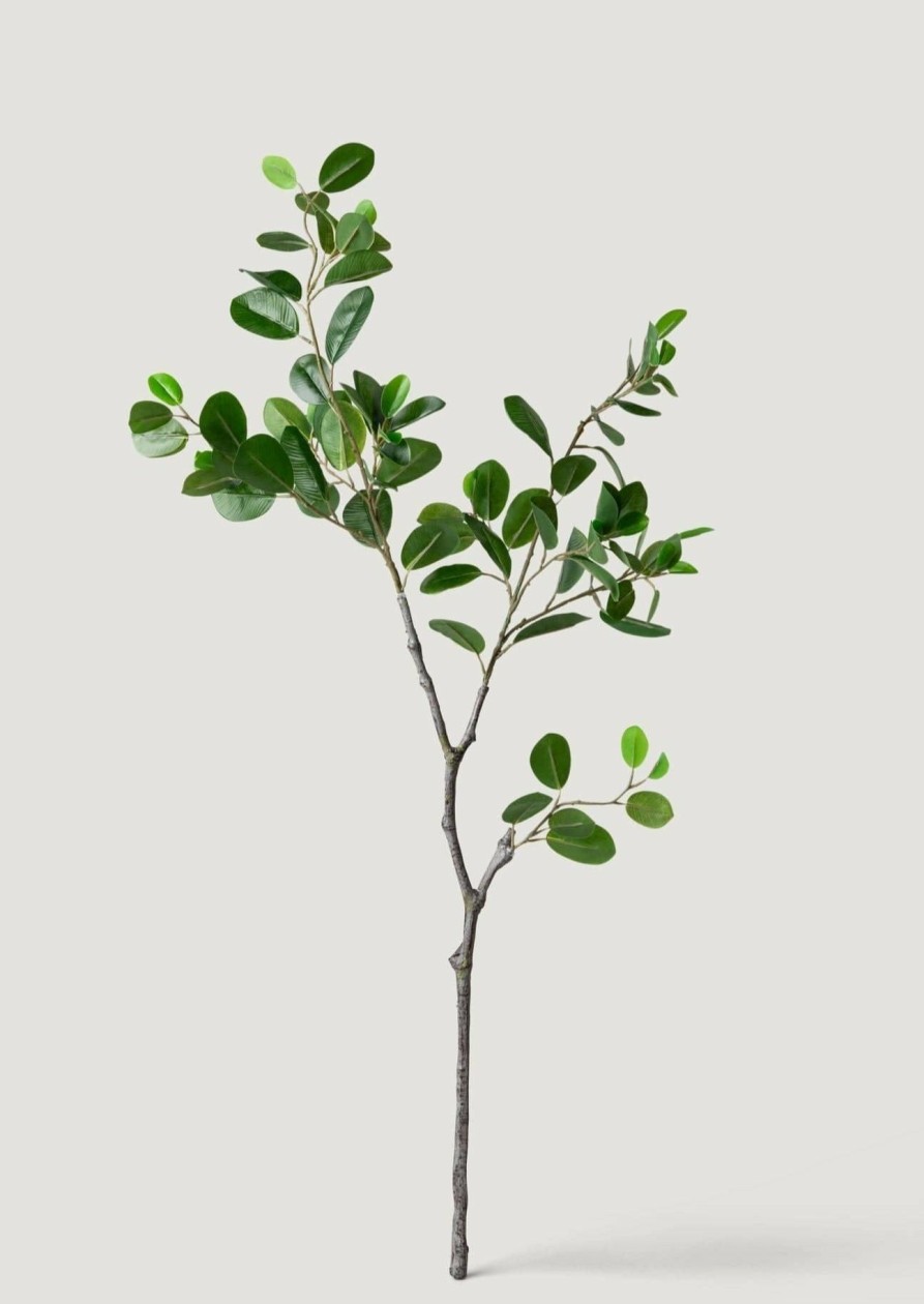 Everyday Greenery Radial | Artificial Italian Ficus Branch - 38"