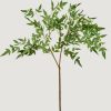 Everyday Greenery Radial | Faux Green Nandina Leaf Branch - 39"