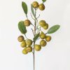 Blooming Florals Radial | Artificial Mini Pear Branch - 30"