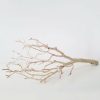 Fall Foliage Radial | Dried Decor Natural Sandblasted Manzanita Branch - 34-38"