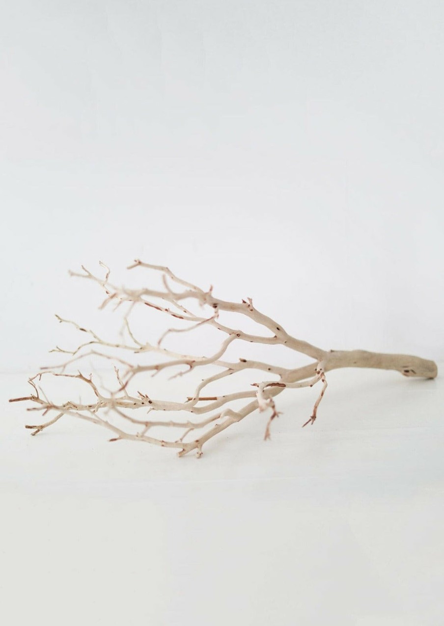 Fall Foliage Radial | Dried Decor Natural Sandblasted Manzanita Branch - 34-38"