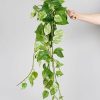 Everyday Greenery Radial | Natural Touch Pothos Artificial Plant - 48"