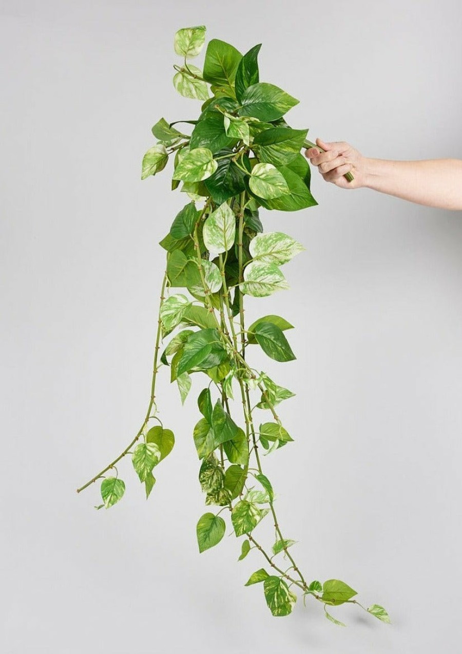 Everyday Greenery Radial | Natural Touch Pothos Artificial Plant - 48"