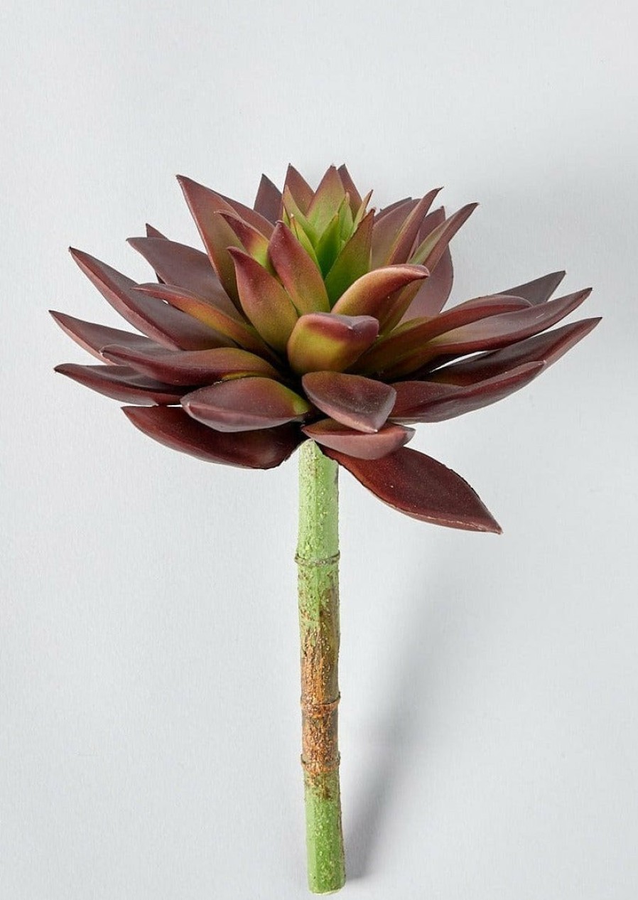 Everyday Greenery Radial | Burgundy Artificial Star Succulent Pick - 10"