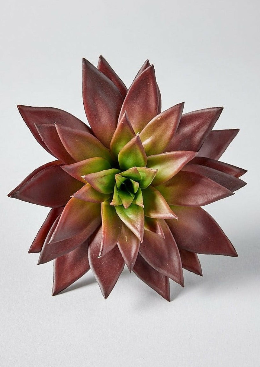 Everyday Greenery Radial | Burgundy Artificial Star Succulent Pick - 10"