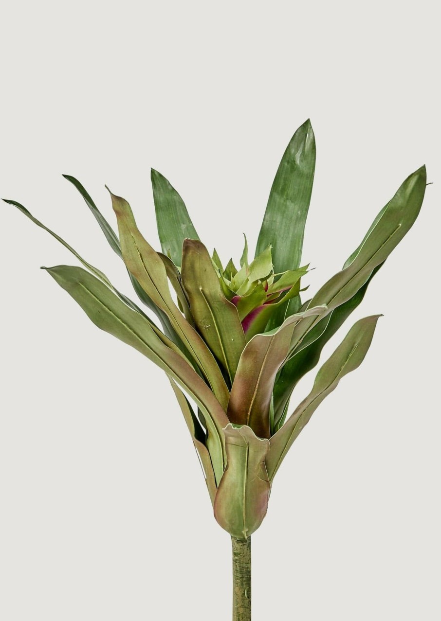 Everyday Greenery Radial | Artificial Tropical Bromeliad Plant In Green - 20"