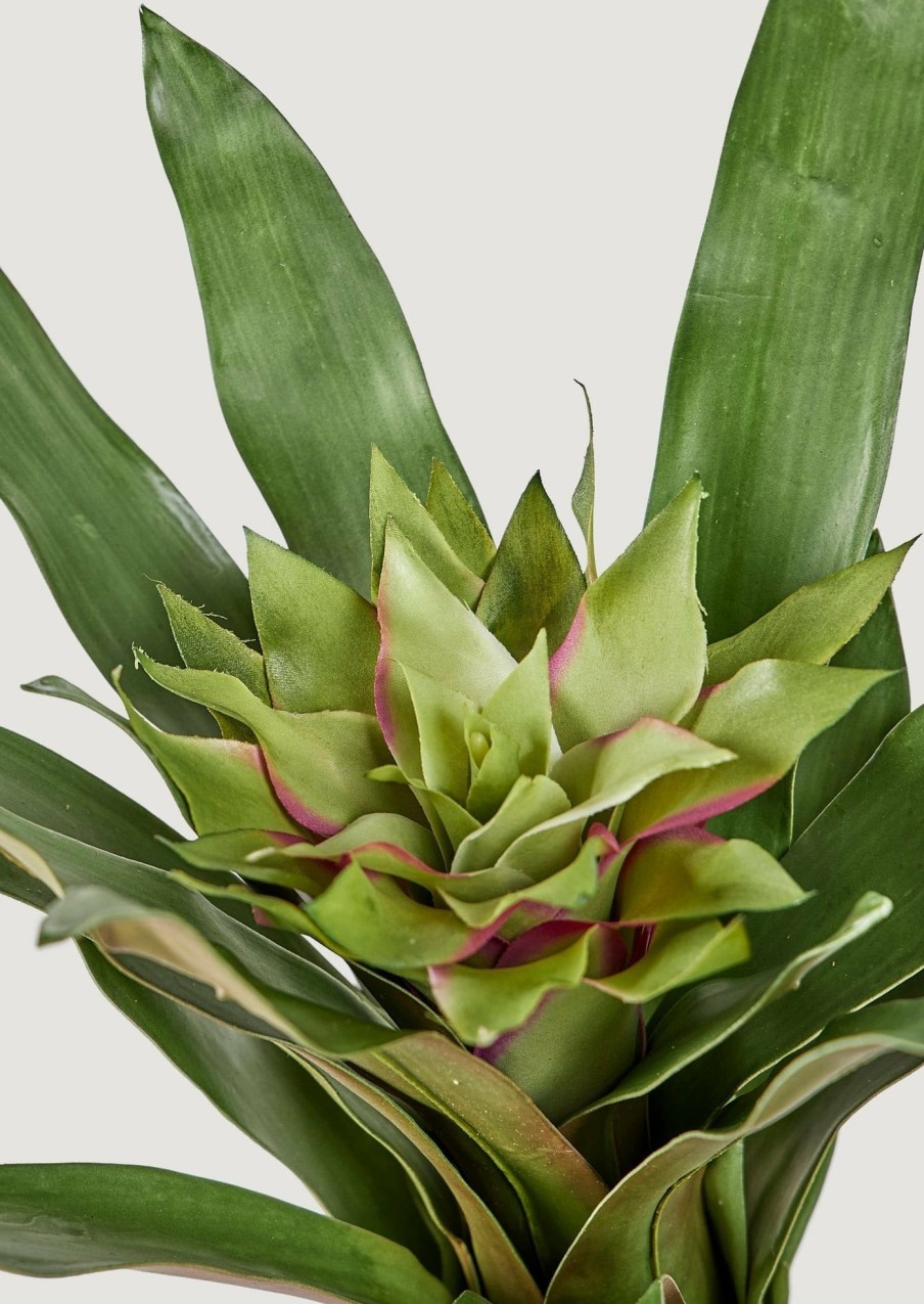 Everyday Greenery Radial | Artificial Tropical Bromeliad Plant In Green - 20"