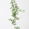 Everyday Greenery Radial | Fake Leaves Italian Ruscus Branch - 49"