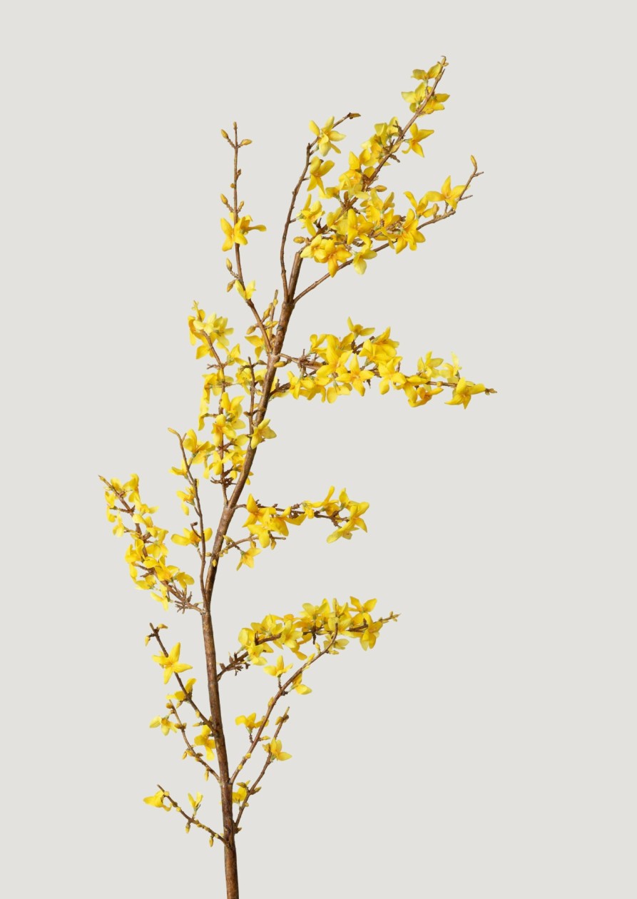 Blooming Florals Radial | Yellow Faux Spring Forsythia Branch - 50"