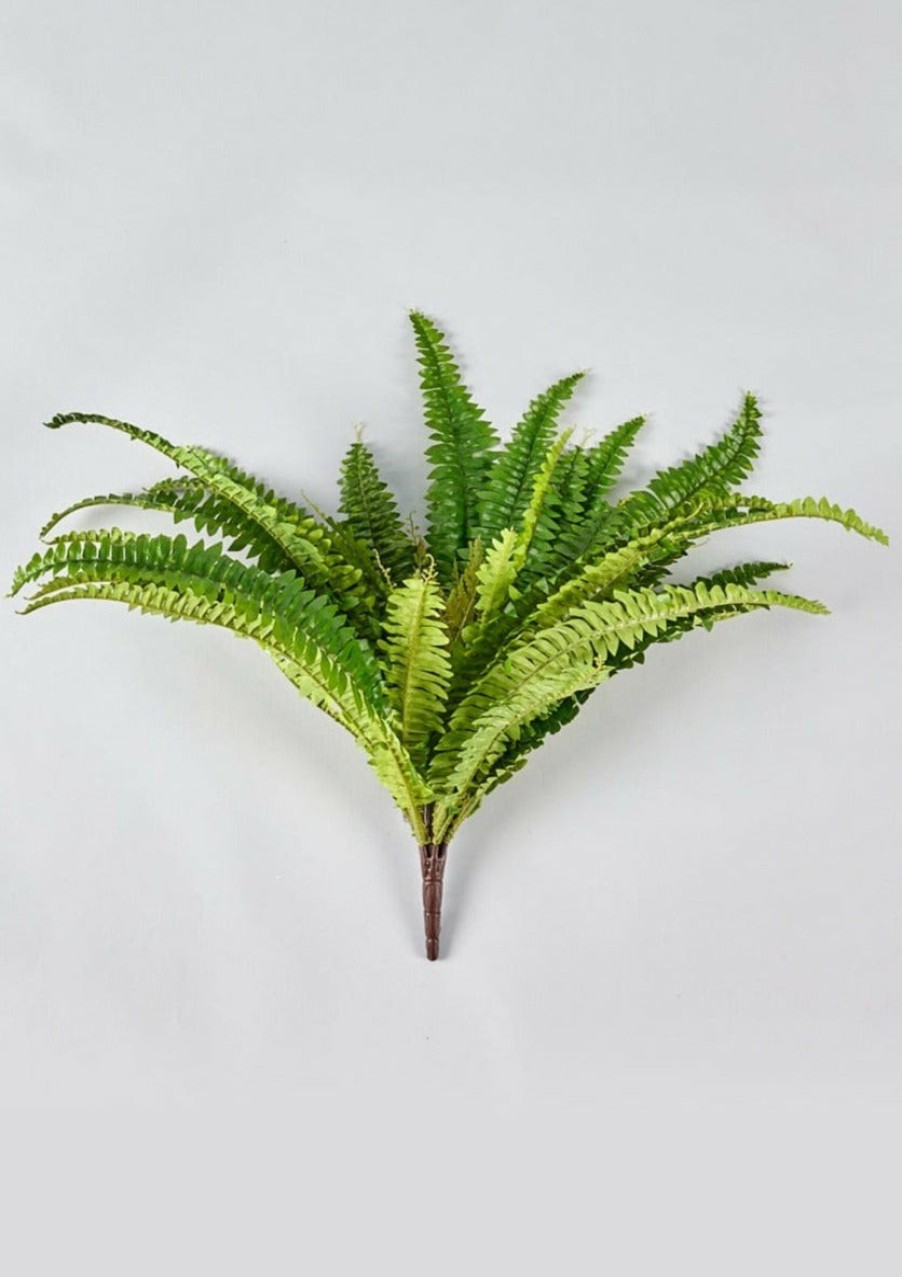 Everyday Greenery Radial | Indoor/Covered Outdoor Faux Hanging Boston Fern Plant - 23"