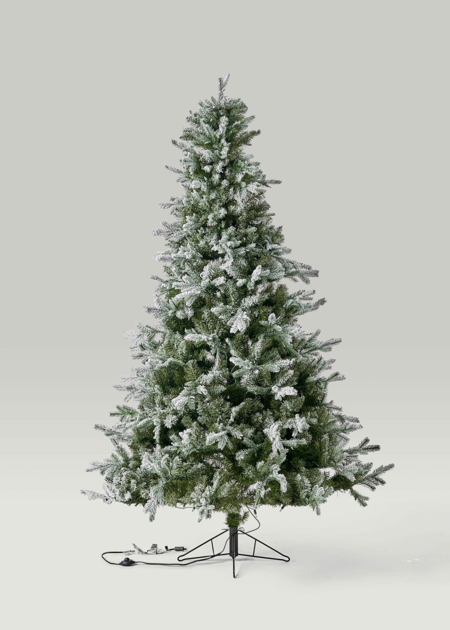 Everyday Greenery Radial | Frosted Pine Christmas Tree With Pre-Lit Led White Lights - 7.5'