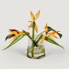 Blooming Florals Radial | Faux Tropical Bird Of Paradise Arrangement In Glass Vase - 11"