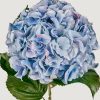 Blooming Florals Radial | Tall Powder Blue Faux Hydrangea Flower - 45"