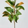 Everyday Greenery Radial | Faux Magnolia Leaf Branch - 41"