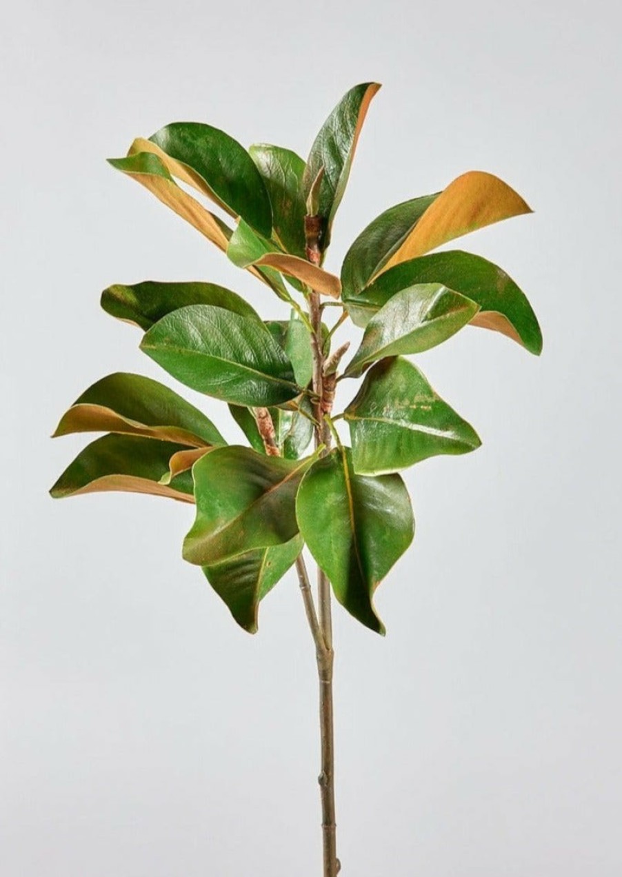 Everyday Greenery Radial | Faux Magnolia Leaf Branch - 41"