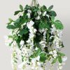 Blooming Florals Radial | White Artificial Wisteria Hanging Flower Bush - 31"