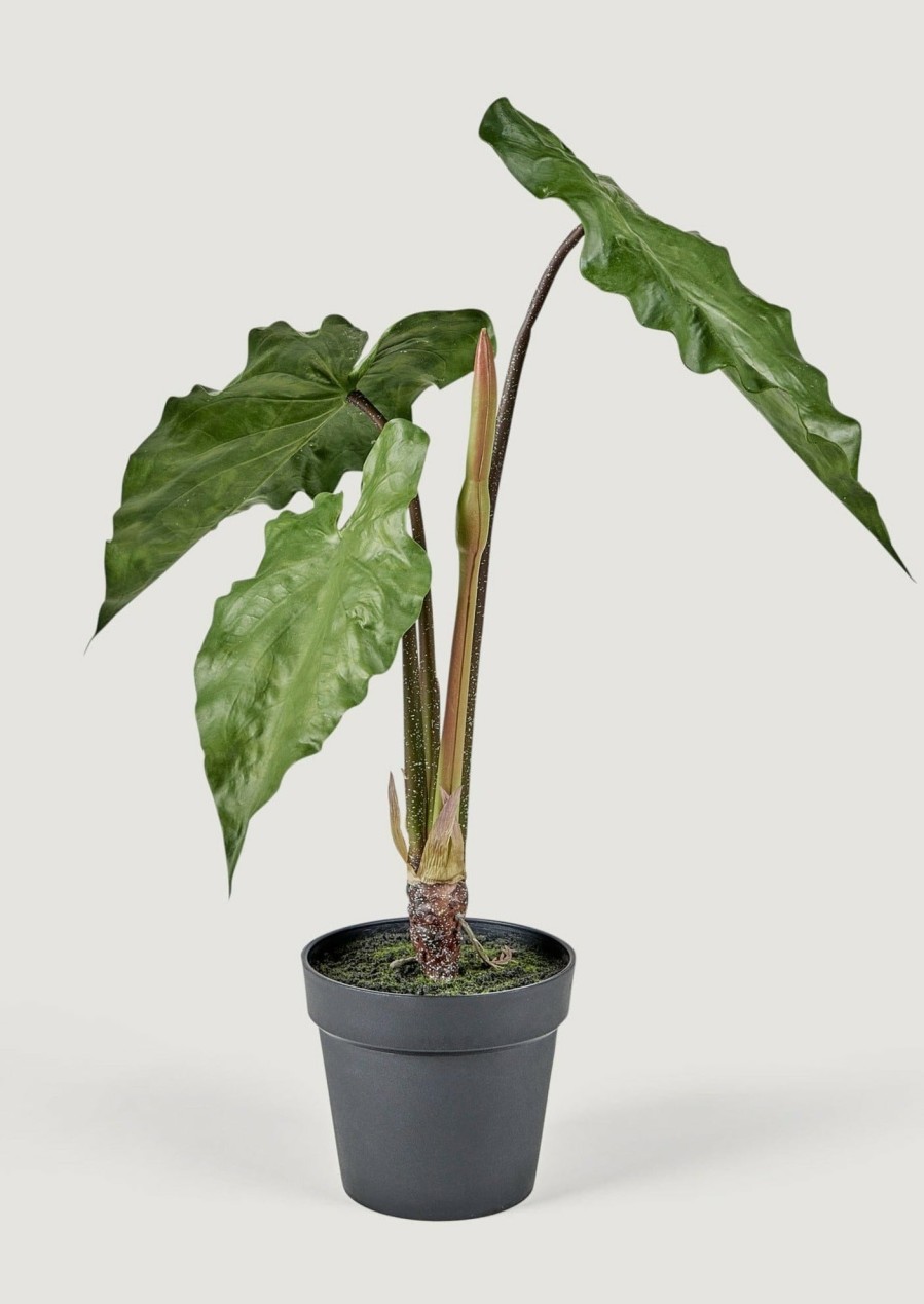 Everyday Greenery Radial | Faux Tropical Alocasia Potted Plant - 27"