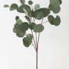 Everyday Greenery Radial | Real Touch Silver Dollar Eucalyptus - 30"