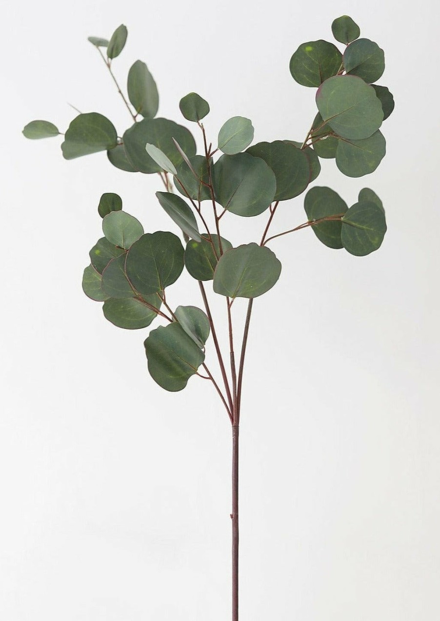 Everyday Greenery Radial | Real Touch Silver Dollar Eucalyptus - 30"