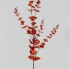 Fall Foliage Radial | Artificial Burnt Sienna Spiral Eucalyptus Leaf Branch - 33.5"