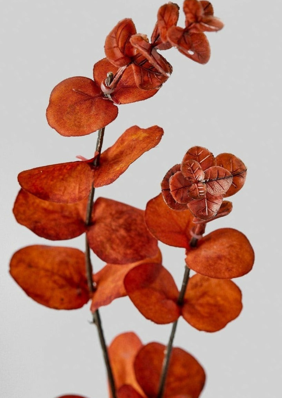 Fall Foliage Radial | Artificial Burnt Sienna Spiral Eucalyptus Leaf Branch - 33.5"