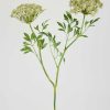 Everyday Greenery Radial | Faux Queen Anne'S Lace Wildflowers - 36"