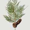 Winter Forest Radial | Faux Cedar And Pine Cone Branch - 22"