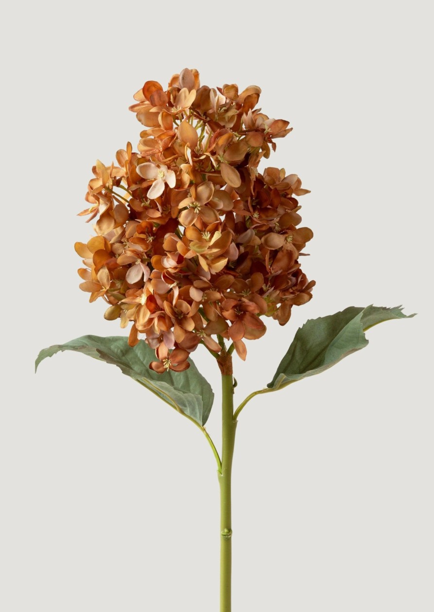 Blooming Florals Radial | Faux Cone Hydrangea In Earthy Brown Hues - 23"