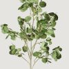 Everyday Greenery Radial | Luxe Artificial Aspen Branch - 51"