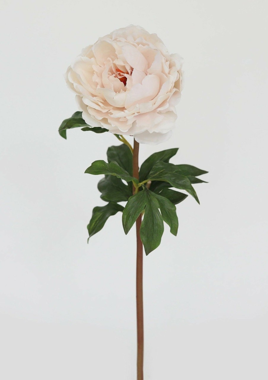 Blooming Florals Radial | Real Touch Peony In Tissue Blush - 20.5"