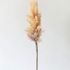 Everyday Greenery Radial | Fake Pampas Grass In Tan - 33"