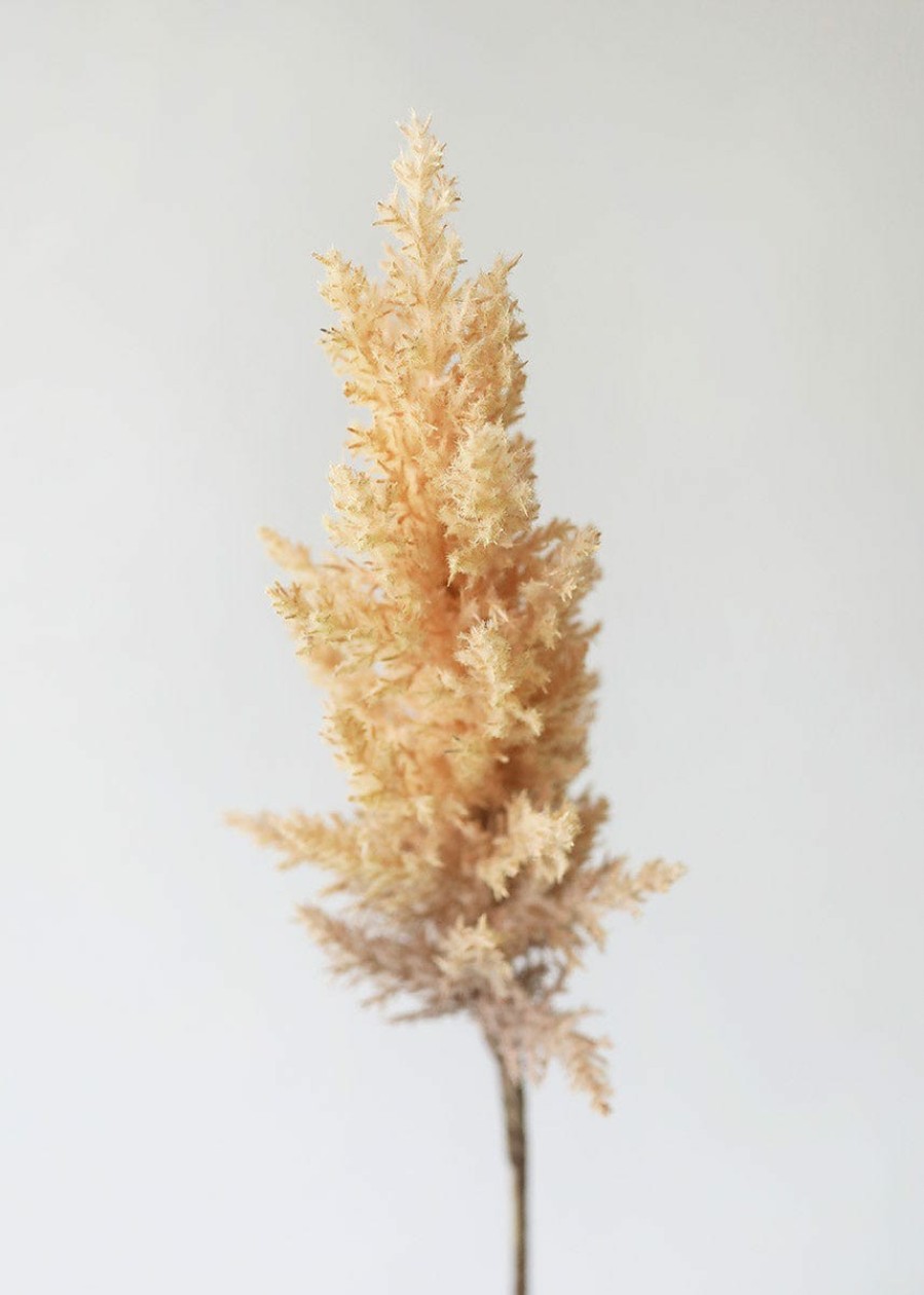 Everyday Greenery Radial | Fake Pampas Grass In Tan - 33"