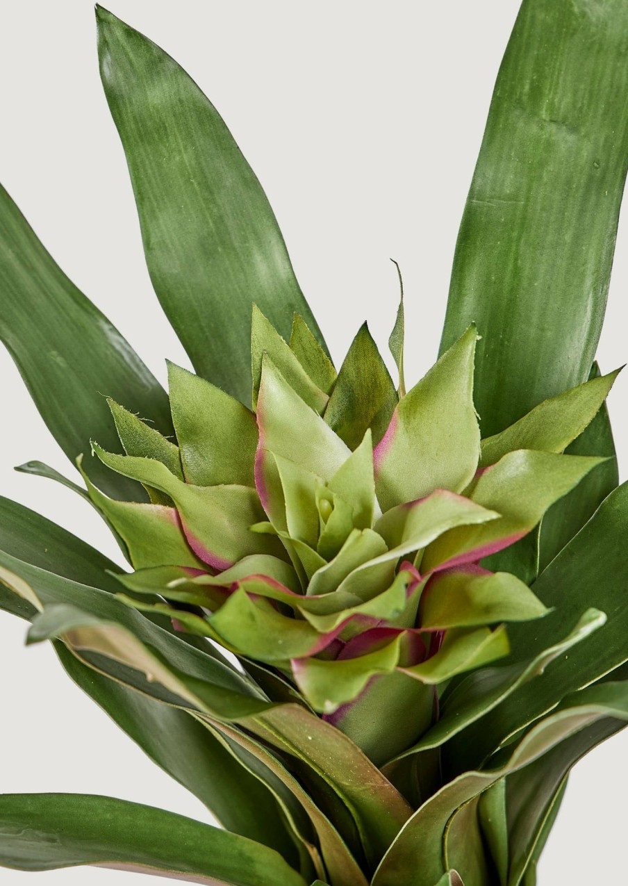 Everyday Greenery Radial | Artificial Tropical Bromeliad Plant In Green - 20"