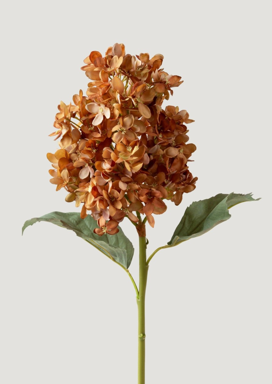 Blooming Florals Radial | Faux Cone Hydrangea In Earthy Brown Hues - 23"