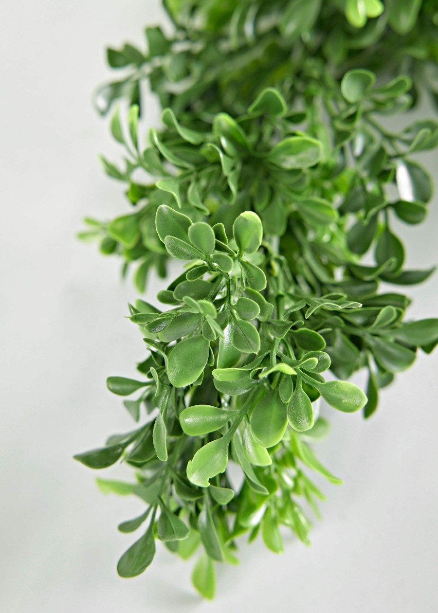 Everyday Greenery Radial | Indoor/Covered Outdoor Faux English Boxwood Garland - 72"